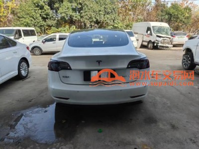 20年特斯拉MODEL 3中型车