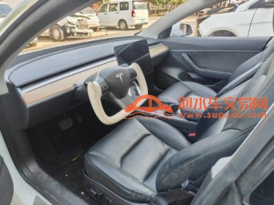 20年特斯拉MODEL 3中型车