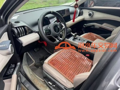 23年比亚迪元中型车