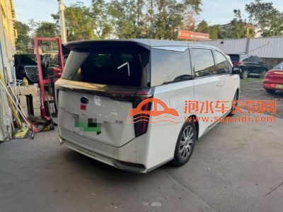 23年广汽传祺E9SUV