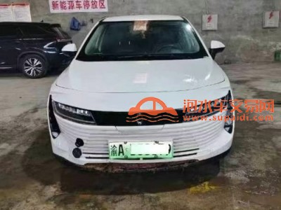 21年欧拉欧拉R1中型车
