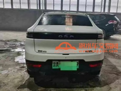 21年欧拉欧拉R1中型车