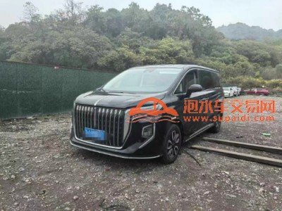 24年红旗红旗HQ9SUV