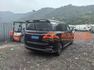 24年红旗红旗HQ9SUV