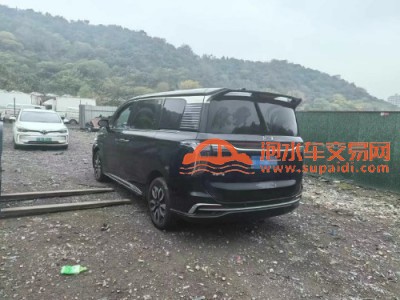 24年红旗红旗HQ9SUV