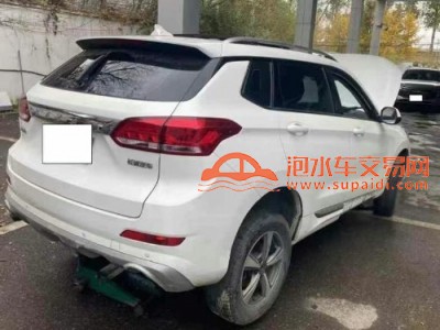 20年哈弗哈弗H6SUV