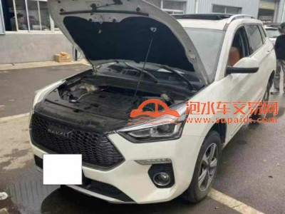 20年哈弗哈弗H6SUV