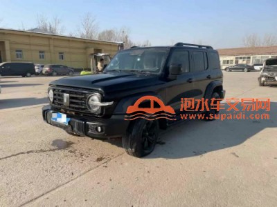 21年长城坦克SUV