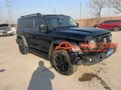 21年长城坦克SUV
