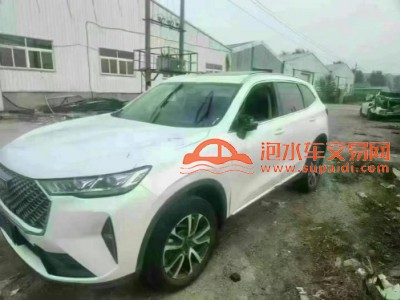 22年长城哈弗H6SUV