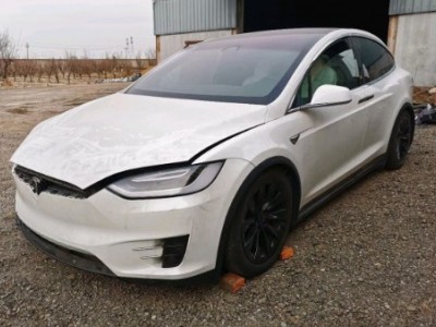 18年特斯拉MODEL X中型车